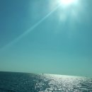 생명의 바다 1.1 이미지