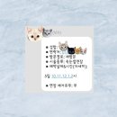 한올 더하기 네이버블로그