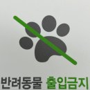 오케이 디자인 네이버블로그