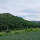 진부농장 이미지