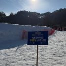 새마을로1R-32 | 260104 뜨거운 이모들의 차가운 대관령 눈꽃마을 눈썰매장