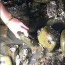 벌천포해수욕장 | 🦀 충청도 벌천포해수욕장 해루질&amp;차박 후기 🚐