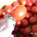 경수농장 이미지