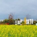 오늘 여기 이미지