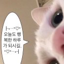 현이네곱창