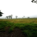 수림목장 이미지