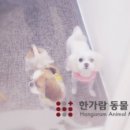 별이와콩이 이미지