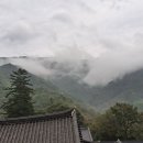 선문염송설화 이미지