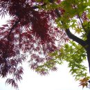 능허대초등학교 이미지