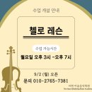 (1:1레슨)첼로 개인레슨(30분) 이미지