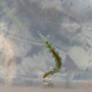 부곡농장2 이미지