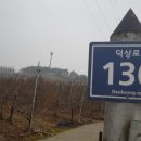 행복애농원 네이버블로그