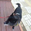 별빛쉼표 이미지