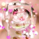 프레베스 | 웰니스트웨이 6기를 시작합니다!(중년의 삶을 위한 나돌봄 12주 프로그램)