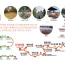 탑동마을