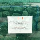 길스테이 | 겨울에 도림사 템플스테이 뚜벅이로 다녀온 후기