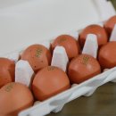 초록마을 대실역점