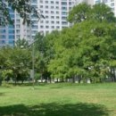 죽곡근린공원 이미지