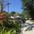 새옥천목장 | 5월