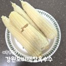 착한농부 - 양천구 곰달래로13길 37-1 | 강원도미백찰옥수수 더착한농부 농부직송 아이간식으로 좋은 찰옥수수 후기