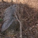 장씨농장 이미지