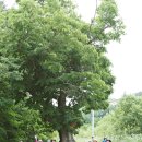 고개너머 동향길 이미지