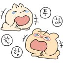 디스베리데이 이미지