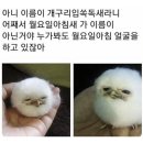 (주)하나필름 이미지
