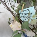 다산한강초등학교(병설) 이미지