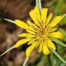 화원농장3 이미지