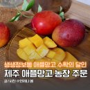 슬기 제2농장 | 제주 애플망고 농장 섬제주 가격 주문 후기 생생정보통 애플망고 수확의달인