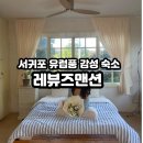 레뷰즈 맨션 네이버블로그