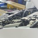 애니카랜드 양주점 이미지