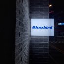 경기광주 경안동 LP Bar 블루버드 Blue Bird