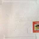 표씨농장 이미지