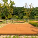 시어동 캠핑장 이미지