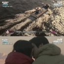 바다풍경펜션도시어부 이미지