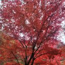 삼봉부동산중개사무소 이미지