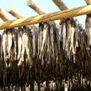 진부목장 이미지