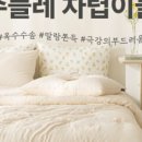 말랑홈