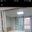 에코리사 Daum카페