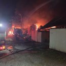 메추리농장 이미지