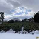 안덕농장 이미지