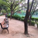 효성공원(JC공원) 근방 이미지