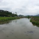 화순프로낚시