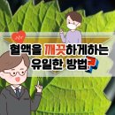 그린시너지 이미지