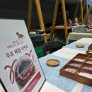 양양로컬 | 양양 로컬 페스티벌 후기｜말의 해, 새해를 여는 팔찌 만들기 체험에 씨온이 함께했어요