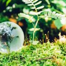 제일자원환경 이미지