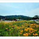 화성행궁 이미지