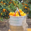 상단농장 이미지